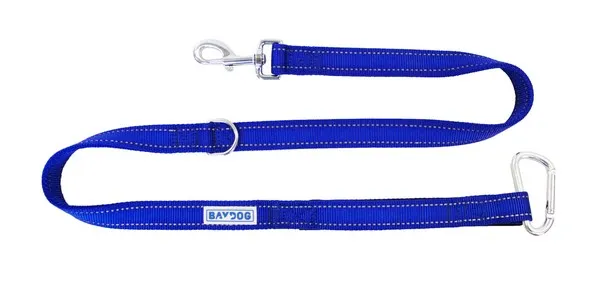 4' Baydog Blue Hudson Leash - Treat